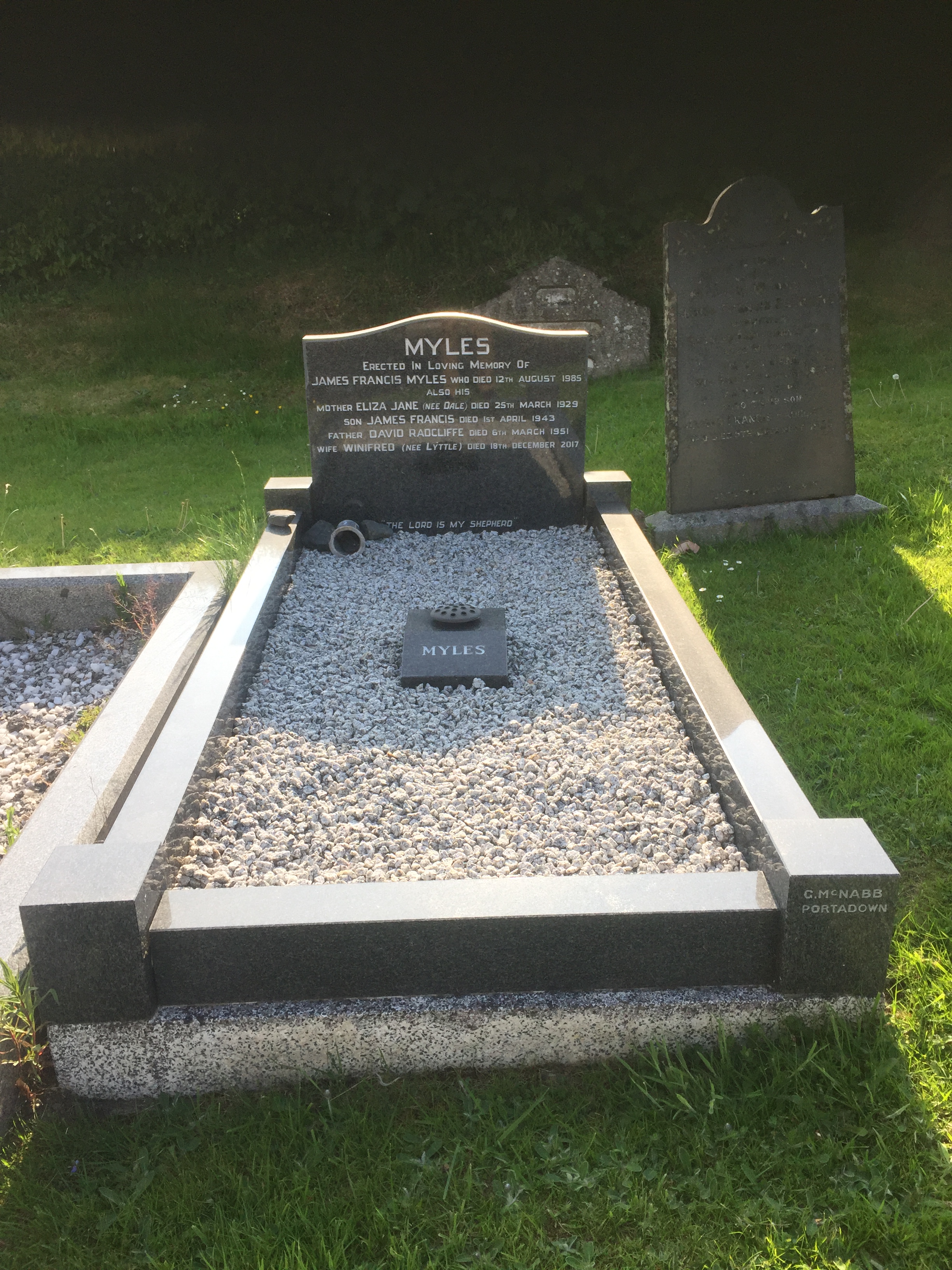 49990F2F-C9CB-49CE-95FE-28EC56FCE385