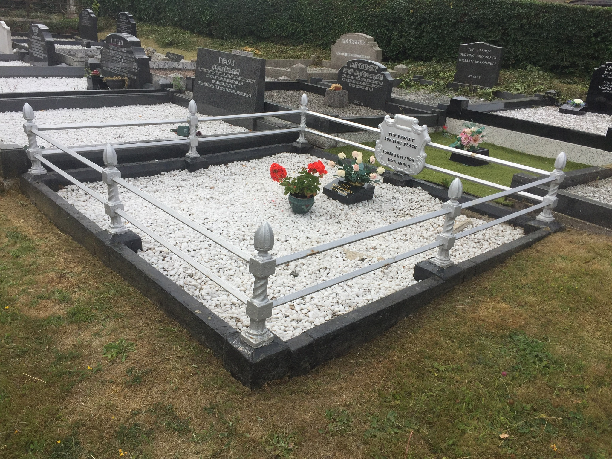 FE0A6B29-C37F-4D67-8794-3808F0CEF952